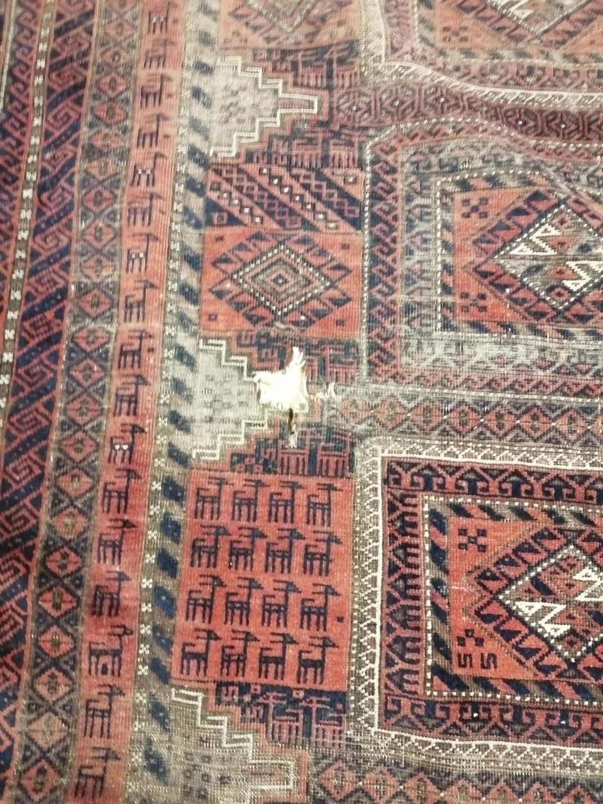 Three small North West Persian rugs (worn), largest 205 x 122cm